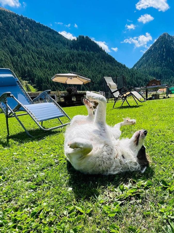 Chalet Sunshine Лівіньо Екстер'єр фото