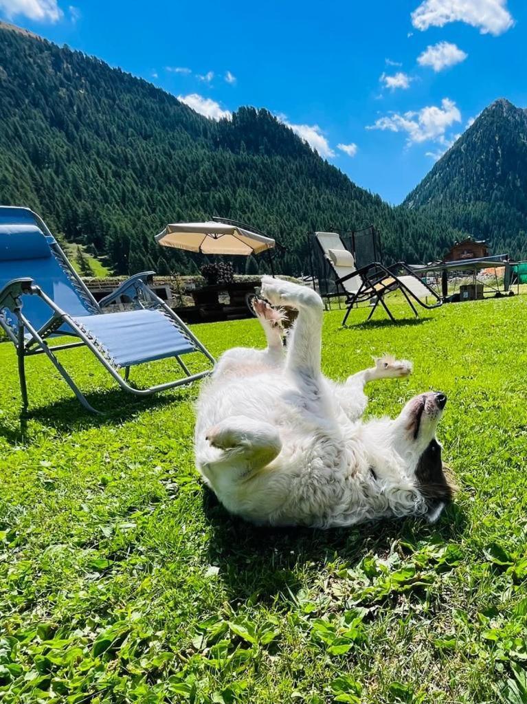 Chalet Sunshine Лівіньо Екстер'єр фото
